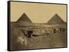 Sphinx and Giza Pyramids, 19th Century-Science Source-Framed Stretched Canvas