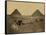 Sphinx and Giza Pyramids, 19th Century-Science Source-Framed Stretched Canvas