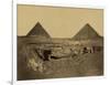 Sphinx and Giza Pyramids, 19th Century-Science Source-Framed Giclee Print