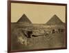 Sphinx and Giza Pyramids, 19th Century-Science Source-Framed Giclee Print