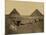 Sphinx and Giza Pyramids, 19th Century-Science Source-Mounted Giclee Print