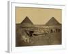 Sphinx and Giza Pyramids, 19th Century-Science Source-Framed Giclee Print