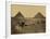 Sphinx and Giza Pyramids, 19th Century-Science Source-Framed Giclee Print