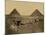 Sphinx and Giza Pyramids, 19th Century-Science Source-Mounted Giclee Print