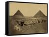 Sphinx and Giza Pyramids, 19th Century-Science Source-Framed Stretched Canvas