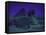 Sphinx and Great Pyramid at Giza, in Moonlight, Egypt-James Burke-Framed Stretched Canvas