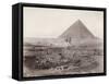 Sphinx and Great Pyramid-null-Framed Stretched Canvas