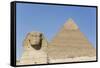 Sphinx and Pyramid of Chephren, the Giza Pyramids, Giza, Egypt, North Africa, Africa-Richard Maschmeyer-Framed Stretched Canvas