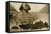 Sphinx and Pyramids, Giza, Egypt-null-Framed Stretched Canvas