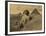 Sphinx and the Pyramids, 19th Century-Science Source-Framed Giclee Print