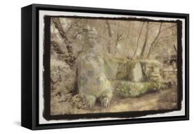 Sphinx, Barmazo, Italy-Theo Westenberger-Framed Stretched Canvas