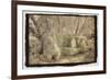 Sphinx, Barmazo, Italy-Theo Westenberger-Framed Photographic Print