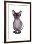 Sphinx Cat-Fabio Petroni-Framed Photographic Print