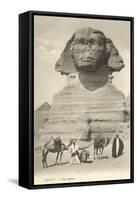 Sphinx, Giza, Egypt-null-Framed Stretched Canvas