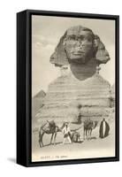 Sphinx, Giza, Egypt-null-Framed Stretched Canvas