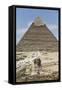 Sphinx in Foreground and Pyramid of Chephren, the Giza Pyramids, Giza, Egypt, North Africa, Africa-Richard Maschmeyer-Framed Stretched Canvas