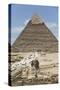 Sphinx in Foreground and Pyramid of Chephren, the Giza Pyramids, Giza, Egypt, North Africa, Africa-Richard Maschmeyer-Stretched Canvas