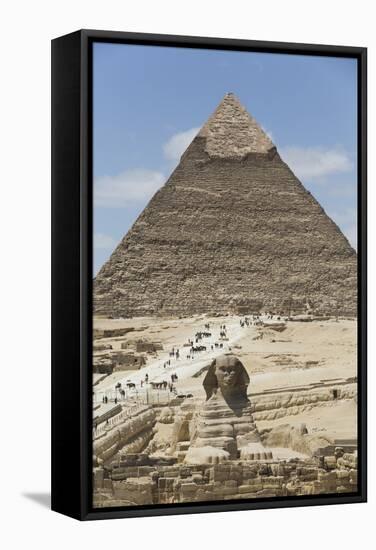 Sphinx in Foreground and Pyramid of Chephren, the Giza Pyramids, Giza, Egypt, North Africa, Africa-Richard Maschmeyer-Framed Stretched Canvas