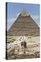 Sphinx in Foreground and Pyramid of Chephren, the Giza Pyramids, Giza, Egypt, North Africa, Africa-Richard Maschmeyer-Stretched Canvas