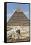 Sphinx in Foreground and Pyramid of Chephren, the Giza Pyramids, Giza, Egypt, North Africa, Africa-Richard Maschmeyer-Framed Stretched Canvas