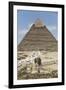 Sphinx in Foreground and Pyramid of Chephren, the Giza Pyramids, Giza, Egypt, North Africa, Africa-Richard Maschmeyer-Framed Photographic Print