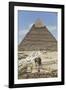 Sphinx in Foreground and Pyramid of Chephren, the Giza Pyramids, Giza, Egypt, North Africa, Africa-Richard Maschmeyer-Framed Photographic Print