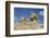 Sphinx in Foreground, and the Great Pyramid of Cheops, the Giza Pyramids-Richard Maschmeyer-Framed Photographic Print