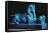 Sphinx of Amenhotep III, 15th-14th Century BC-null-Framed Stretched Canvas