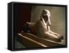 Sphinx of Queen Hatshepsut,-null-Framed Stretched Canvas