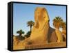 Sphinx Path, Temple of Luxor, Thebes, UNESCO World Heritage Site, Egypt, North Africa, Africa-Tuul-Framed Stretched Canvas