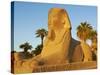 Sphinx Path, Temple of Luxor, Thebes, UNESCO World Heritage Site, Egypt, North Africa, Africa-Tuul-Stretched Canvas