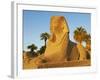 Sphinx Path, Temple of Luxor, Thebes, UNESCO World Heritage Site, Egypt, North Africa, Africa-Tuul-Framed Photographic Print