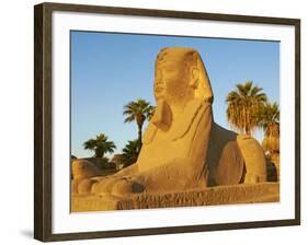 Sphinx Path, Temple of Luxor, Thebes, UNESCO World Heritage Site, Egypt, North Africa, Africa-Tuul-Framed Photographic Print