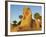 Sphinx Path, Temple of Luxor, Thebes, UNESCO World Heritage Site, Egypt, North Africa, Africa-Tuul-Framed Photographic Print