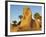 Sphinx Path, Temple of Luxor, Thebes, UNESCO World Heritage Site, Egypt, North Africa, Africa-Tuul-Framed Photographic Print