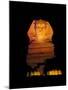 Sphinx Sound and Light Show, Egypt-Claudia Adams-Mounted Photographic Print