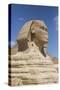 Sphinx, the Giza Pyramids, Giza, Egypt, North Africa, Africa-Richard Maschmeyer-Stretched Canvas