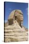 Sphinx, the Giza Pyramids, Giza, Egypt, North Africa, Africa-Richard Maschmeyer-Stretched Canvas