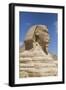 Sphinx, the Giza Pyramids, Giza, Egypt, North Africa, Africa-Richard Maschmeyer-Framed Photographic Print