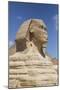 Sphinx, the Giza Pyramids, Giza, Egypt, North Africa, Africa-Richard Maschmeyer-Mounted Photographic Print