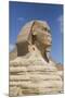 Sphinx, the Giza Pyramids, Giza, Egypt, North Africa, Africa-Richard Maschmeyer-Mounted Photographic Print