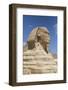 Sphinx, the Giza Pyramids, Giza, Egypt, North Africa, Africa-Richard Maschmeyer-Framed Photographic Print