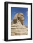 Sphinx, the Giza Pyramids, Giza, Egypt, North Africa, Africa-Richard Maschmeyer-Framed Photographic Print
