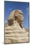 Sphinx, the Giza Pyramids, Giza, Egypt, North Africa, Africa-Richard Maschmeyer-Mounted Photographic Print