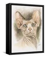 Sphinx-Barbara Keith-Framed Stretched Canvas