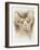 Sphinx-Barbara Keith-Framed Giclee Print