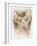 Sphinx-Barbara Keith-Framed Giclee Print