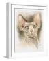 Sphinx-Barbara Keith-Framed Giclee Print