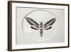 Sphinx-Rusty Frentner-Framed Giclee Print