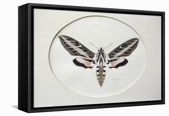 Sphinx-Rusty Frentner-Framed Stretched Canvas